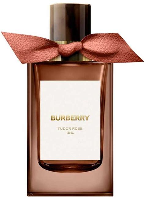 tudor rose burberry